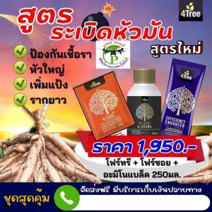 สูตรระเบิดหัวมัน โฟร์ทรี 1ซอง+โฟร์ซอย1ซอง+อะมิโนแบล็คเล็ก 250 ml ชุดเร่งราก โตเร็ว เขียวนาน ขยายหัว เพิ่มแป้ง เพิ่มน้ำหนัก ของแท้ 100%