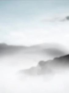 Big Braid Tai Chi Shoes Womens Tendon Bottom Genuine Leather Practice Shoes Mens Martial Arts Shoes Special Tai Chi Shoes Soft Cowhide Breathable