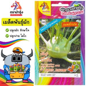 RAINBOW HORSE 🇹🇭 ผักซอง ตราม้ารุ้ง Z193 กะหล่ำปม บิ๊กวัน เมล็ดพันธุ์ เมล็ดพันธุ์ผัก เมล็ดพันธุ์ ผักสวนครัว