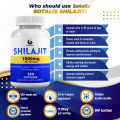 LsHealth Shilajit 1000mg - Pure Shilajit Extract Supplement and Powder Complex Pills - Natural Humic & Fulvic Acid & Trace Minerals. 