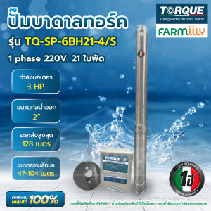 ปั๊มบาดาล STL 3HP 21ใบพัด 2" TORQUE TQ-SP-6BH21-4/S พร้อมบล็อกคอนโทรลและฝาครอบบ่อ จำหน่ายโดย Montree More