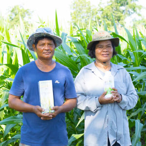 ใหม่! ใบเขียว แตกใบอ่อนดี เร่งดอกเร่งผล ต้นสมบูรณ์แข็งแรง ต้านทานโรคดี ปุ๋ยน้ำแกรมม่าทู 500 ซีซี aforch