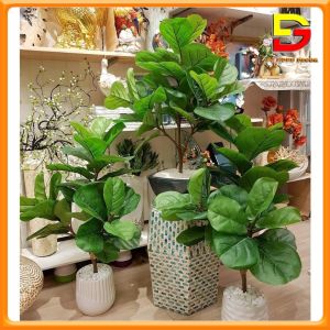 Cây Giả Cây Bàng Singgapo Cao 1M Đẹp Như Cây Thật Trang Trí Trong Nhà Đặt Văn Phòng DG-57