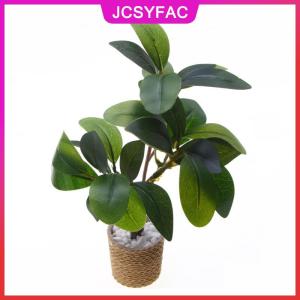 JCSYFAC 1 6 Nhà búp bê mô phỏng cây xanh trồng trong chậu Mô hình nhà búp bê trang trí cảnh nhà vi cảnh quan vườn cây trang trí