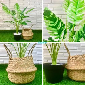 Pohon Artificial Daun Musa Florida X18 Semi Latex Cover Pot Purun Belly Pohon Plastik Dekorasi Rumah Dekorasi Ruangan
