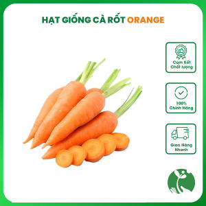 Hạt giống Cà rốt Orange - Gói 5gr - Tỉ lệ nảy mầm >90% - Trồng quanh năm