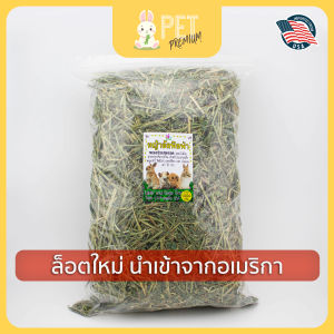 หญ้าอัลฟาฟ่า 1 กิโลกรัม by pet premium หญ้ากระต่าย หนูแกสบี้ แฮมเสตอร์ เฟอร์เรท ชินชิล่า แพรี่ด๊อก เต่าบก