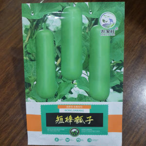 Hạt giống bầu Non siêu trái bầu sao xanh ngắn siêu trái - Hoang My food and beauty