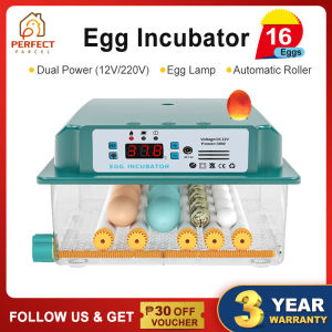 220V/12V DUAL POWER 130 Green Eggs Fully Automatic Digital Incubator Chicken Poultry Hatcher Temperature Control egg tray Incubator egg incubator Duck Goose Quail Birds Brooder Digital Humidity Temperature Control Hatching machine incubator
