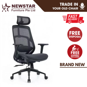 Newstar AeroFlex Ergonomic Mesh Chair Full Adjustable Support Home Office Chair & Study Chair 2 year warranty