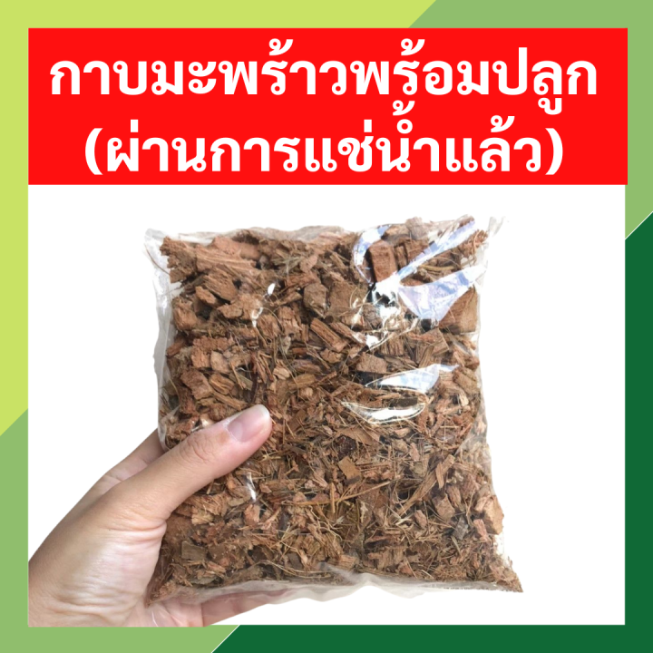 แนะนำ 6 กาบมะพร้าวสับและขุยมะพร้าว คุณภาพดี สำหรับการปลูกต้นไม้ ปี 2025