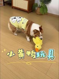 Crinkle Pet Toy Duck Shape Plush Texture In-dog toy: plush sleeping duck with crinkle paper for chewing teeth grinding sound-making chip-shaped squeaky chew toy Pet Equipment