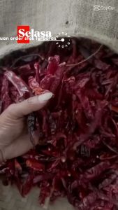 Packing 1/2 Kg Cabe Besar Kering Tanpa Tangkai Kualitas Super