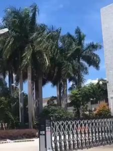 324 ชุดสเวตเตอร์ถักผ้าชิฟฟอนลายแพทช์เวิร์คที่สดใหม่และสง่างามสำหรับผู้หญิง คอลเลคชันฤดูใบไม้ผลิ 2025 ท็อปแขนพัฟแฟชั่นใหม่ที่หรูหรา