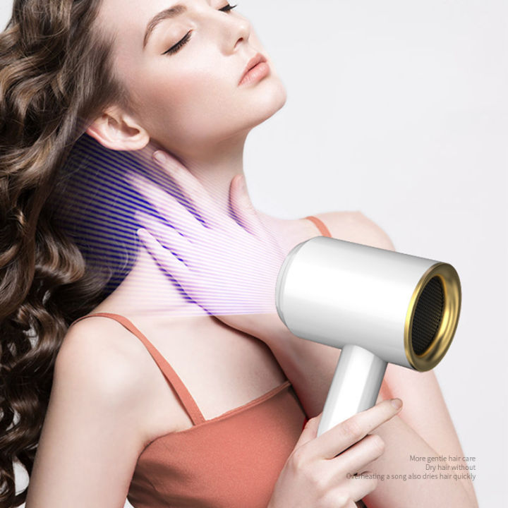 Blower Hair dryer hair salon styler blower Portable Quick Dry