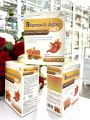 Stomach Ache ND- hỗ trợ giảm acid dịch vị, cải thiện các biểu hiện và giảm nguy cơ viêm loét dạ dày, tá tràng. 