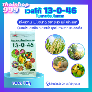 ปุ๋ยเกล็ดเวสโก้ 13-0-46 ขนาด 1Kg โพแทสเซียมไนเตรท เพิ่มขนาดผล และหัว เร่งเต่ง ลูกมีน้ำหนัก
