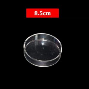 MILDPETAL Transparent Aquarium Feeder Acrylic with Suction Cup Aerial Feeding Bowl Universal Fish Shrimp Feeding Dish for Fish and Shrimp Aquariums