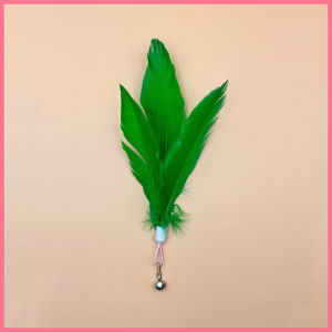 Đầu lông vũ có chuông thay thế cho cần câu mèo