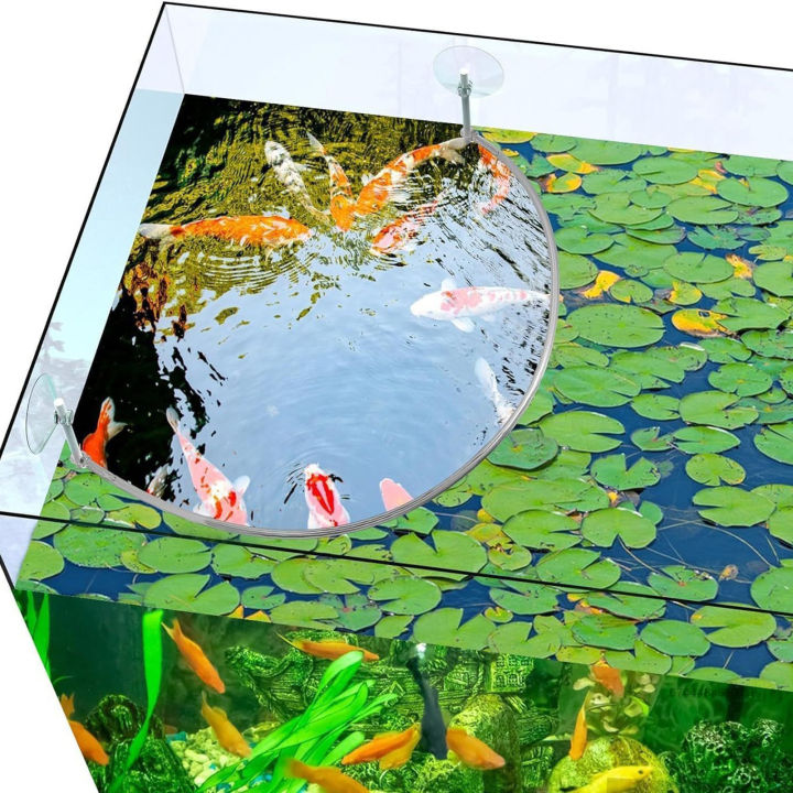 Curated visual reference: Aquarium Floating Plant Corral Floating Plant Fence For Aquarium Fish Photo Inspiration