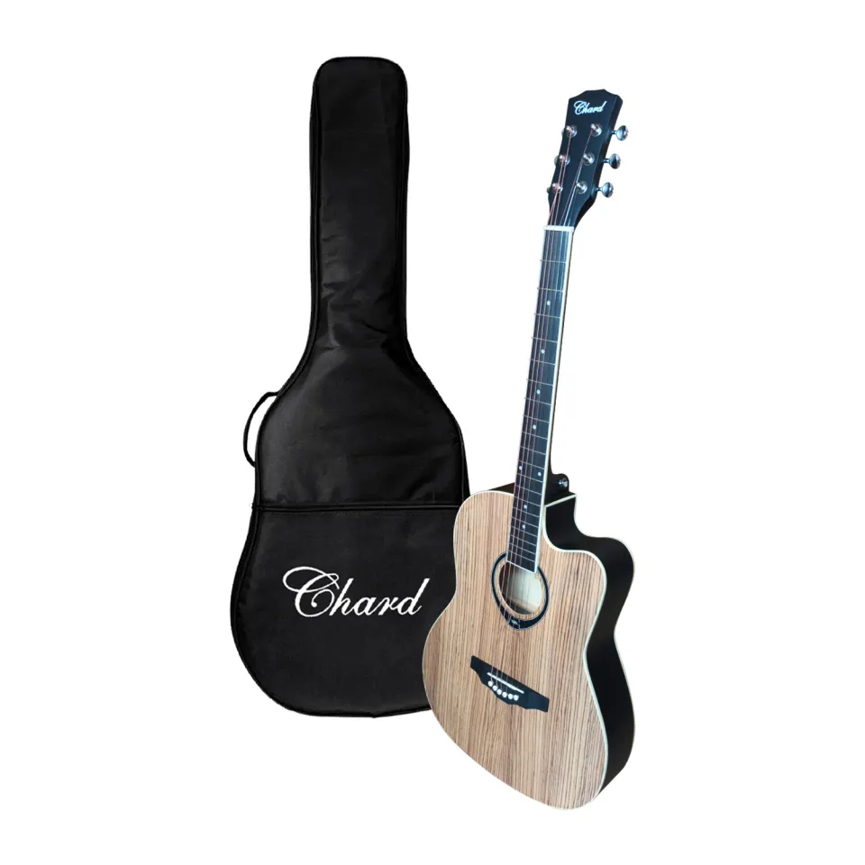 Chard guitar on sale