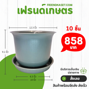 กระถาง กระถางต้นไม้ มินิมอล ถ้วยจีน+จาน ขนาด 12 นิ้ว สีเทา 10 ใบ ชิ้น อัน