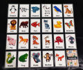 Flash Cards For Kids Laminated. 