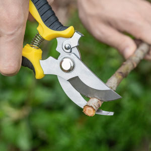 High-Quality Bonsai Branch Cutters: A Guide to High Carbon Steel Pruning Shears