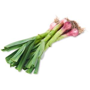 Leek