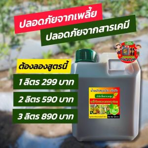 🛡2in1 ป้องกัน+กำจัด! น้ำหมักสมุนไพร ขนาด 1000ml จำนวน 3 แกลลอน ใช้ได้ทุกระยะ ของเเท้