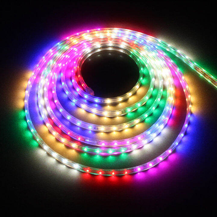 AceDeal 1 100 Meters LED Strip Light W EU Plug SMD2835 RGB Waterproof 220V 48 LEDs M Flexible LED Strip High Quality Outdoor LED Lamp Six Segment Colorful Light Lazada PH