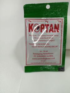 Pengendali efektif hama kopi KOPTAN Hypothenenus hampei penggerek buah