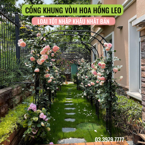 Khung vòm cho hoa hồng leo cây trang trí bằng thép ống phi sơn tĩnh điện Hàng cao cấp độ bền trên 10 năm