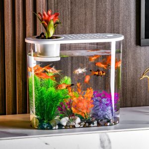 ER52858 Shatterproof Aquaponic Fish Bowl Removable Transparent Plastic Hydroponic Fish Tank Hydroponics with Cover Landscape Decorations