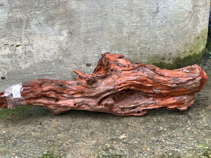 G%E1%BB%96%20L%C5%A8A%20NGH%E1%BB%86%20THU%E1%BA%ACT%20MS584%20Link%20A%20-%20Image%2010