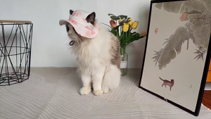 Puppy Bucket Hat Dogs Sunbonnet with Ear Holes Supplies Headwear Devil Hat Summer Hat with Strap Belt Photo Props