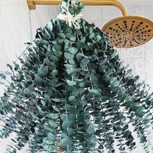 MMLUCK 10 Pcs Large Hanging Dried Eucalyptus Leaves Preserved Eucalyptus Stems Bundle Green Artificial Plants Flowers Shower Hanging