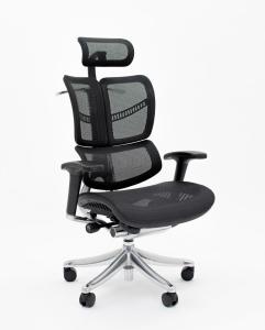 【Ready Local Stock】 Fully Loaded Fly Luxury Ergonomic Office Chair Mesh Chair With Lumbar Support Polished Aluminum Base