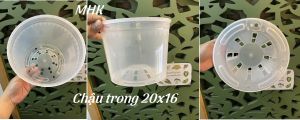 Chậu Nhựa Thakico 20x16 TRONG  chậu nhựa cứng trồng mai  sứ  kiểng lá kiểng hoa