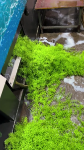 Vibranted Faux Camellia Vine Bouquets For Wedding Decorations And Home Displays Wall Hanging