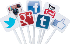 [HCM]Bộ len chọc 20 bé Tân Binh Shiba có hướng dẫn món quà tự tay làm ý nghĩa