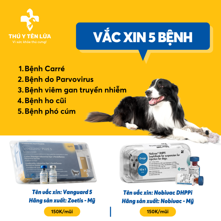 [1 Liều] Vaccine 5 Bệnh Cho Chó Nobivac DHPPi (Tặng Kim + Sổ) Bảo Quản ...