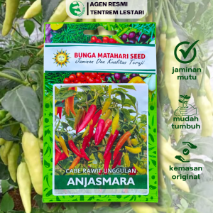 Benih Cabe Rawit ANJASMARA 200 Biji Cap Bunga Matahari Lebat Pedas Panjang