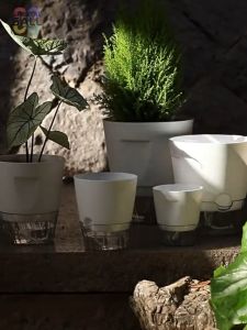 Nordic Minimalist Burr-Free Pot for Windowsill Shelf Decor Transparent Water Level Planter Cotton Rope Self Irrigation Pot