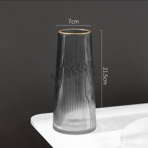 Bình Thủy Tinh Vẽ Vàng Đơn Giản Sáng Tạo Bán Buôn Bình Trang Trí Phòng Khách Bình Hoa Hồng Màu Hoa Thủy Canh Cao Cấp