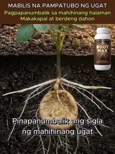ROOTMAX Nano Root Booster 500ml  Root Growth Promoter  Rooting Hormone  Liquid Fertilizer  Organ