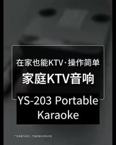 [Ready Stock] YS203/YS219 Portable Wireless Karaoke Set with Dual Microphones for Family Gatherings & Gifts