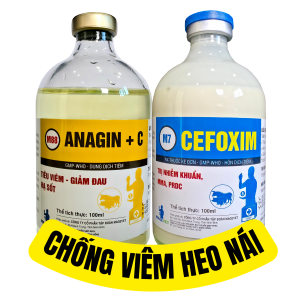 CHỐNG VIÊM CHO HEO NÁI CEFOXIM + CỐT DỊCH ANAGIN +C