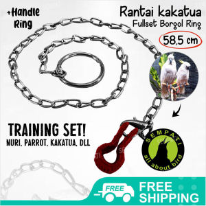 SEMPATI Rantai Borgol Burung Nuri Falk Parkit Parrot Hantu Rantai Kaki Burung Latih Training Burung Jinak Rantai Free Flying Burung