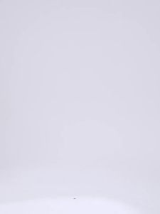 Succming Pilates Shockproof Gathered Yoga Bra Adjustable Hook Sports Bra High-Intensity Fitness Sports Vest for Women D25065